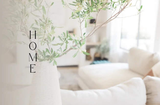 Home Organizing service