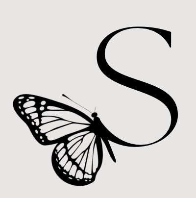 Sift & Sort Organizer in Palm Coast, Florida